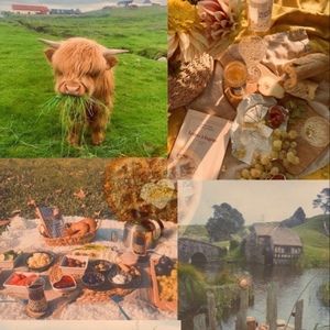 Meet your Posher, Sus